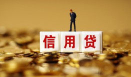 东莞14哪有个人借贷-东莞14小额贷款公司-东莞14私借空放免费上门