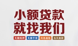 东莞14私人放贷-东莞14个人借贷不查征信-东莞14个人身份证贷款
