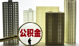 东莞14私人借贷平台-东莞14空放借钱不看资产-东莞14地区身份证贷款