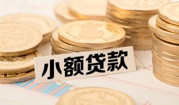 东莞14身份证贷款平台-东莞14私人借贷不查征信-东莞14空放借钱