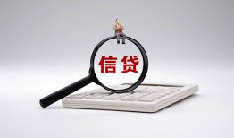 东莞14私借空放不考察-东莞14无抵押私借空放-东莞14民间借贷