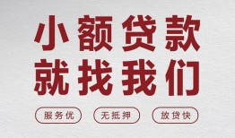 东莞14民间贷款-东莞14小额贷款不查征信-东莞14贷款信用贷款